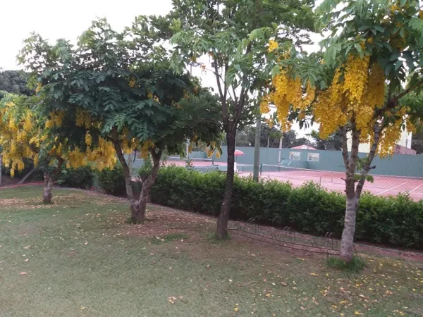 CT do Tênis - foto 10